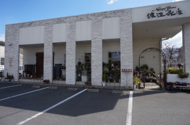 「渡辺花屋」　（佐賀県佐賀市）の花屋店舗写真1